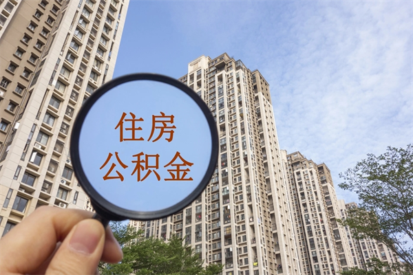 东阳离职多久可以取住房公积金(离职多久后能取公积金) 东阳离职多久可以取住房公积金(离职多久后能取公积金)